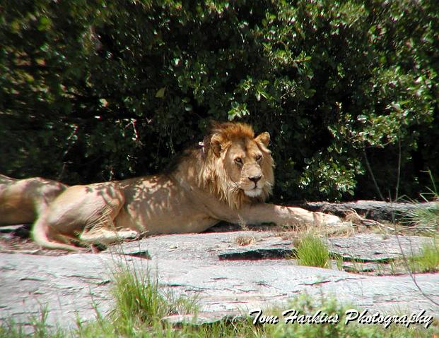 Alright but just one more.jpg